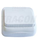 Buton cu pictograma WC, pe tencuiala (pentru tapet) TTK-04W 10AX/250VAC, IP20 (N101)