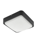 Lampa tavan/perete PIOVE-C 3000K alb cald 220-240V,50/60Hz IP44