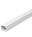 Trunking, type WDK 15015 | Type WDK15015CW