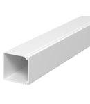 Trunking, type WDK 25025 | Type WDK25025CW