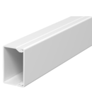 Trunking, type WDK 25040 | Type WDK25040CW