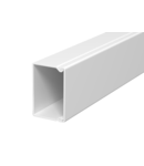 Trunking, type WDK 30045 | Type WDK30045CW