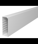 Trunking, type WDK 60170 | Type WDK60170GR