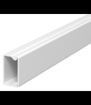 Trunking, type WDK-H 15030 with base perforation | Type WDKH-15030LGR
