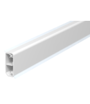 SKL skirting trunking, type SKL 50 D | Type SKL-50DBU