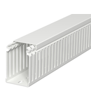 Wiring trunking, type 75050 | Type LKVH N 75050