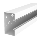 Device installation trunking, trunking height 90 mm | Type GS-S90170LGR