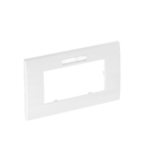 Placa ornamet- AR45, double, with labelling panel for horizontal device installation | Type AR45-BF2 AL