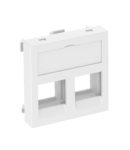 Data technology support, 1 module, straight outlet, type C, without dust protection slider | Type DTG-02C AL1