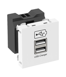 USB charging device | Type MTG-2UC1.2 SWGR1