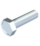 Hexagonal bolt ISO 4017 | Type HHS M10x30 G