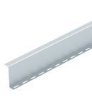 Barrier strip, Z form, 100 FS | Type TSG100Z BKRS FS