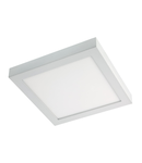 Panou cu LED-uri FMQ300WW MWH 30W 3000K