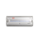 Corp de iluminat de siguranta AW40LEDNM 1W