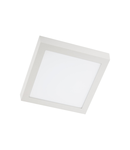 Panou cu LED-uri TH05WW WH 20W 3000K