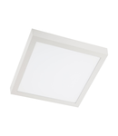 Panou cu LED-uri TH06WW WH 30W 3000K