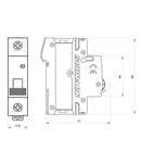 Intreruptor automat AMPARO 10kA, B 1A, 1 pol