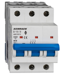 Intreruptor automat modular (MCB) AMPARO 10kA, D 13A, 3 poli
