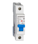 Intreruptor automat modular (MCB) AMPARO 6kA, B 6A, 1-pol