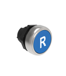 Push buton , diametru, WITH SYMBOL Ø22MM PLATINUM SERIES, FLUSH, R / BLUE