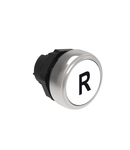 Push buton , diametru, WITH SYMBOL Ø22MM PLATINUM SERIES, FLUSH, R / WHITE