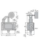 METAL Limitator de cursa, PL SERIES, ROLLER CENTRE PUSH LEVER, CONTACTS 1NC. IP40