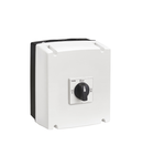 THREE-POLE LINE CHANGEOVER SWITCHES I-0-II IN UL/CSA TYPE 4/4X NON-METALLIC ENCLOSURE, 25A
