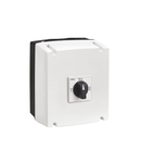 THREE-POLE LINE CHANGEOVER SWITCHES I-0-II IN UL/CSA TYPE 4/4X NON-METALLIC ENCLOSURE, 40A