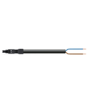 pre-assembled connecting cable; Eca; Socket/open-ended; 2-pole; Cod. A; H05VV-F 2 x 1.5 mm²; 1 m; 1,50 mm²; black