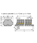 2-conductor terminal strip; 5-pole; on both sides with push-buttons; with fixing flanges; for screw or similar mounting types; Fixing hole 3.2 mm Ø; 2.5 mm²; CAGE CLAMP®; 2,50 mm²; gray