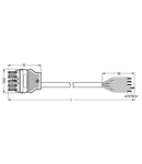 pre-assembled connecting cable; Eca; Socket/open-ended; 5-pole; Cod. L; H05VV-F 5G 1.5 mm²; 3 m; 1,50 mm²; dark gray