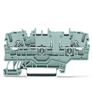 2-conductor through terminal block; 2.5 mm²; with test option; with additional jumper position; same profile as 2-conductor disconnect terminal block; side and center marking; for DIN-rail 35 x 15 and 35 x 7.5; Push-in CAGE CLAMP®; 2,50 mm²; blue