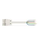 pre-assembled connecting cable; Eca; Socket/open-ended; 5-pole; Cod. A; H05Z1Z1-F 5G 2.5 mm²; 2 m; 2,50 mm²; white