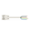 pre-assembled connecting cable; Eca; Socket/open-ended; 5-pole; Cod. A; H05VV-F 5G 2.5 mm²; 5 m; 2,50 mm²; white