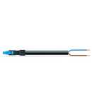 pre-assembled connecting cable; Eca; Socket/open-ended; 2-pole; Cod. I; H05VV-F 2 x 1.5 mm²; 2 m; 1,50 mm²; blue