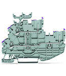 2-conductor/2-pin, double-deck carrier terminal block; 2-conductor/2-pin through terminal block; L; internal commoning; conductor entry with violet marking; for DIN-rail 35 x 15 and 35 x 7.5; Push-in CAGE CLAMP®; 1,00 mm²; gray