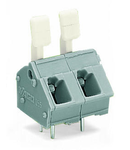 PCB terminal block; finger-operated levers; 2.5 mm²; Pin spacing 7.5/7.62 mm; 2-pole; CAGE CLAMP®; commoning option; 2,50 mm²; gray