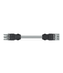 pre-assembled interconnecting cable; Eca; Socket/plug; 3-pole; Cod. B; H05VV-F 3 x 1.0 mm²; 2 m; 1,00 mm²; gray