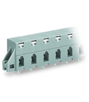 PCB terminal block; push-button; 2.5 mm²; Pin spacing 10 mm; 4-pole; CAGE CLAMP®; clamping collar; 2,50 mm²; gray
