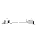 pre-assembled connecting cable; Eca; Plug/open-ended; 5-pole; Cod. A; H05VV-F 5G 1.5 mm²; 1 m; 1,50 mm²; black