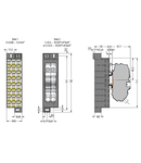 Common potential matrix patchboard; Marking 1-24; with 1 input module incl. end plate; Color of modules: white; Numbering of modules arranged vertically; for 19" racks; Slimline version; 2,50 mm²; dark gray