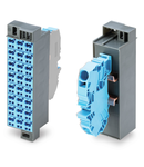 Common potential matrix patchboard; Marking 1-24; with 1 input module incl. end plate; Color of modules: blue; Numbering of modules arranged vertically; for 19" racks; Slimline version; 2,50 mm²; gentian blue