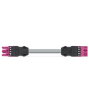 pre-assembled interconnecting cable; Eca; Socket/plug; 3-pole; Cod. B; 2 m; 1,50 mm²; pink