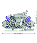 2-conductor disconnect/test terminal block; e.g., voltage transformer circuits; with touch-proof test sockets; for 4 mm Ø test plugs; for DIN-rail 35 x 15 and 35 x 7.5; 6 mm²; Push-in CAGE CLAMP®; 6,00 mm²; gray