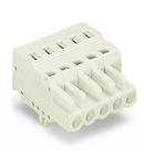 1-conductor female plug; 100% protected against mismating; Snap-in mounting feet; 2.5 mm²; Pin spacing 5 mm; 15-pole; 2,50 mm²; light gray