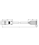 pre-assembled connecting cable; Eca; Plug/open-ended; 5-pole; Cod. B; 1 m; 1,50 mm²; gray