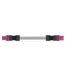 pre-assembled interconnecting cable; Eca; Socket/plug; 4-pole; Cod. B; Control cable 4 x 1.0 mm²; 3 m; 1,00 mm²; pink