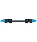 pre-assembled interconnecting cable; Eca; Socket/plug; 2-pole; Cod. I; H05VV-F 2 x 1.0 mm²; 3 m; 1,00 mm²; blue