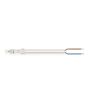 pre-assembled connecting cable; Eca; Plug/open-ended; 2-pole; Cod. A; H05VV-F 2 x 1.0 mm²; 1 m; 1,00 mm²; white