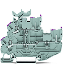 2-conductor/2-pin, double-deck carrier terminal block; 2-conductor/2-pin through terminal block; L; internal commoning; suitable for Ex nA applications; conductor entry with violet marking; for DIN-rail 35 x 15 and 35 x 7.5; 2.5 mm²; Push-in CAGE CLAMP®; 